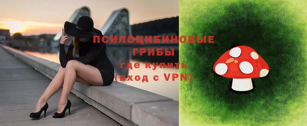 гидропоника Бородино